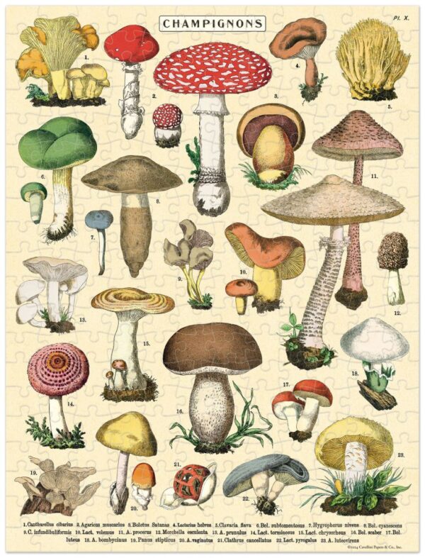 Cavallini & Co - Mushrooms 240 Piece Mini Puzzle - Image 2