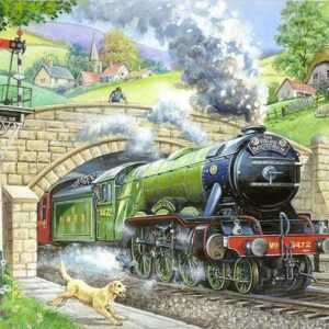 House of Puzzles - Train Spotting 250 Large Piece Puzzle