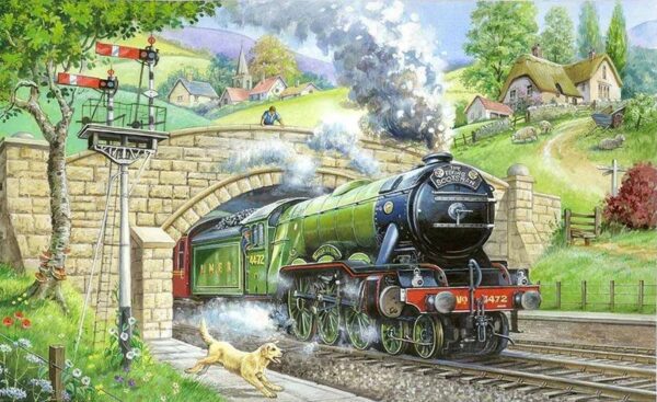 House of Puzzles - Train Spotting 250 Large Piece Puzzle