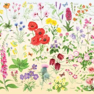 House of Puzzles - Wildflowers 1000 Piece Puzzle