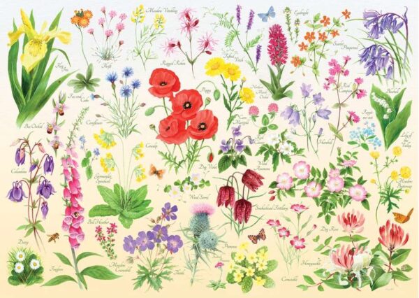 House of Puzzles - Wildflowers 1000 Piece Puzzle