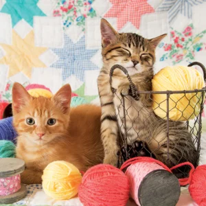 Cobble Hill - Balls of Fluff 1000 Piece Puzzle