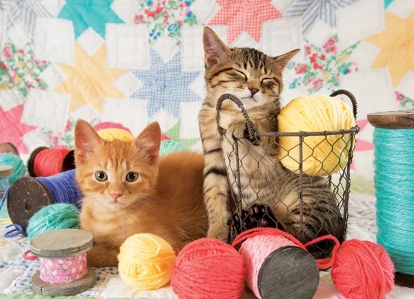 Cobble Hill - Balls of Fluff 1000 Piece Puzzle