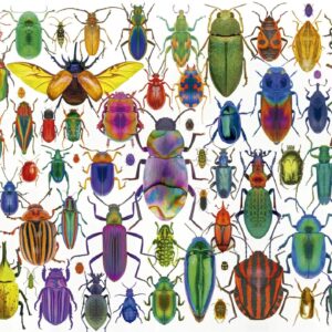 Educa - Beetles 500 Piece Puzzle