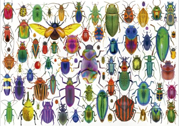 Educa - Beetles 500 Piece Puzzle