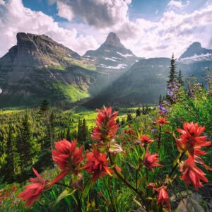Ravensburger - Pristine Mountains 2000 Piece Puzzle