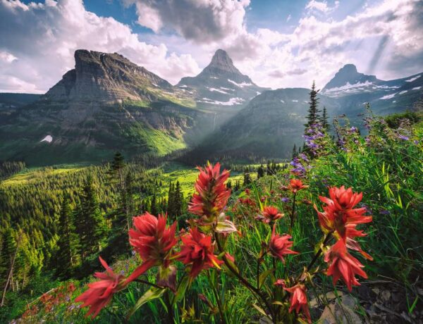 Ravensburger - Pristine Mountains 2000 Piece Puzzle