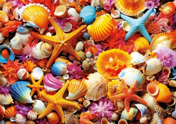 Educa - Shell Collage 1000 Piece Puzzle