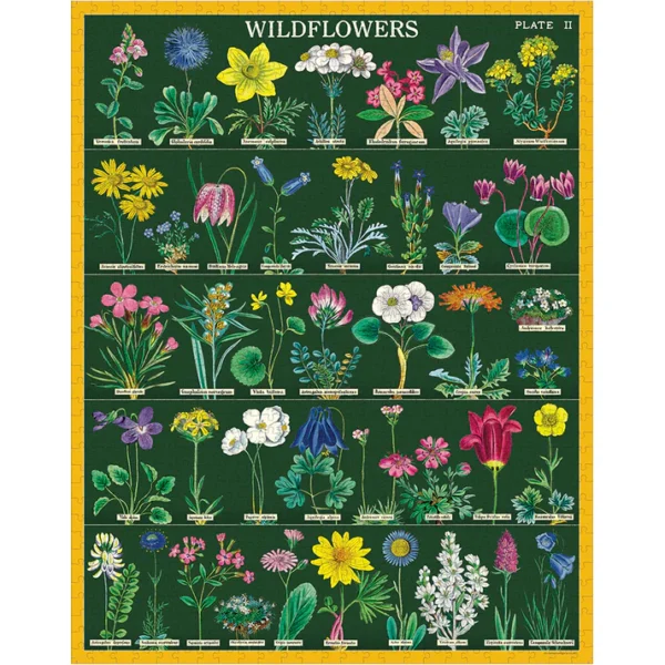 Cavallini & Co - Vintage Wildflowers 2 1000 Piece Puzzle - Image 2
