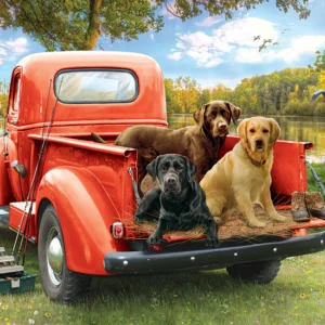 Cobble Hill - Fishing Friends 1000 Piece Puzzle