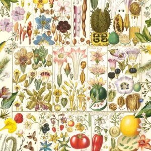 Gibsons - RHS Botanical Bliss 1000 Piece Puzzle