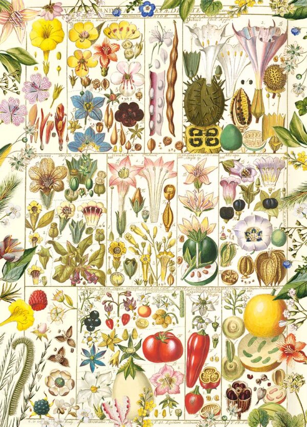 Gibsons - RHS Botanical Bliss 1000 Piece Puzzle