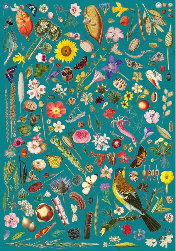 Gibsons - RHS Floral Fantasy 500 Piece Puzzle