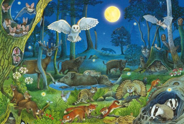 Schmidt - Animals in a Night-Time Forest 100 Piece Puzzle