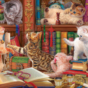 Eurographics - Library Kittens 1000 Piece Puzzle