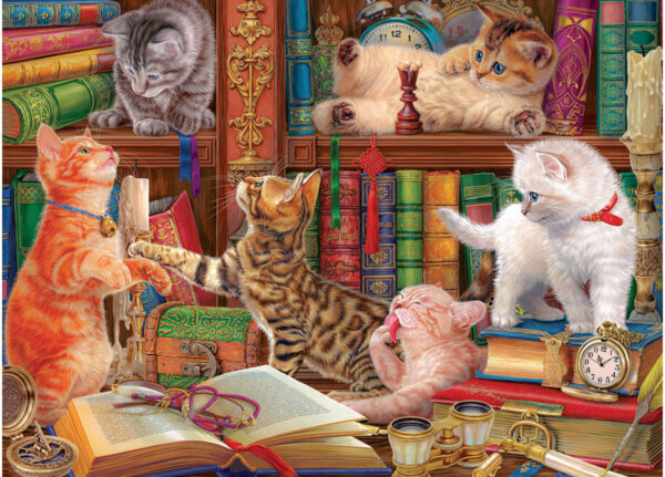 Eurographics - Library Kittens 1000 Piece Puzzle