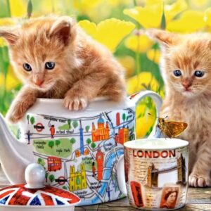 Castorland - Tea Time Kittens 500 Piece Puzzle