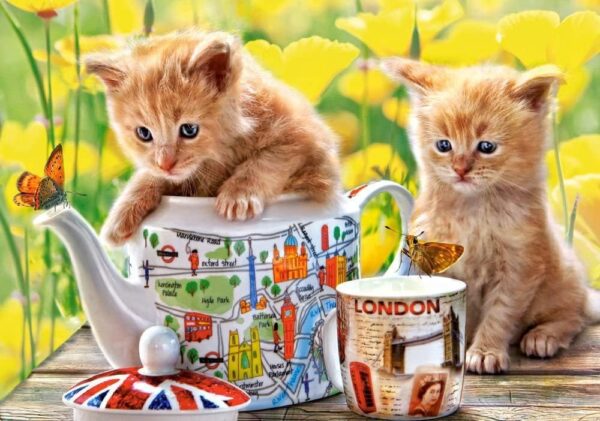 Castorland - Tea Time Kittens 500 Piece Puzzle