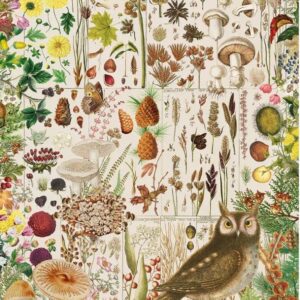 Gibsons - RHS - Fall Flora 1000 Piece Puzzle