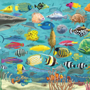 Peter Pauper Press - All the Fish 1000 Piece Puzzle