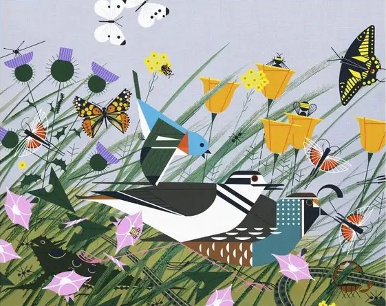 Pomegranate - Charley Harper - Once there was a Field 1000 Piece Puzzle