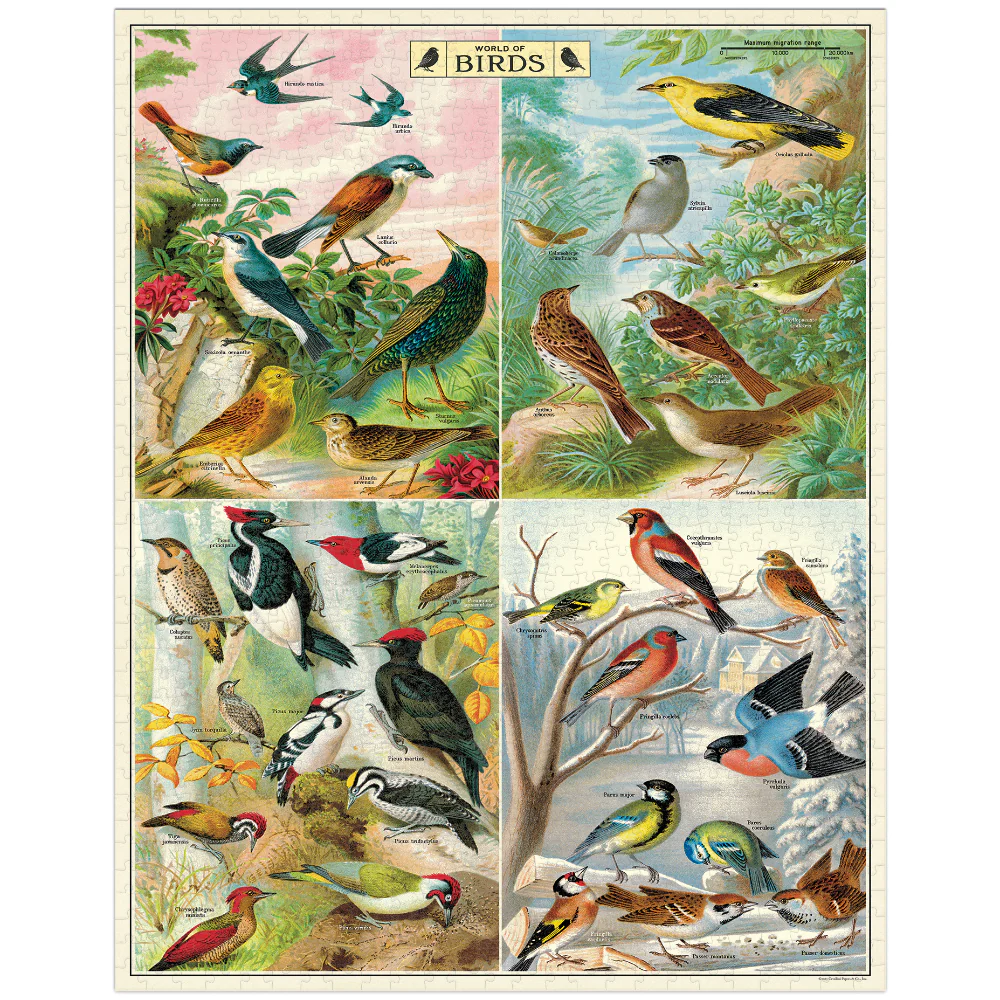 Cavallini & Co - World of Birds 1000 Piece Puzzle - Image 2