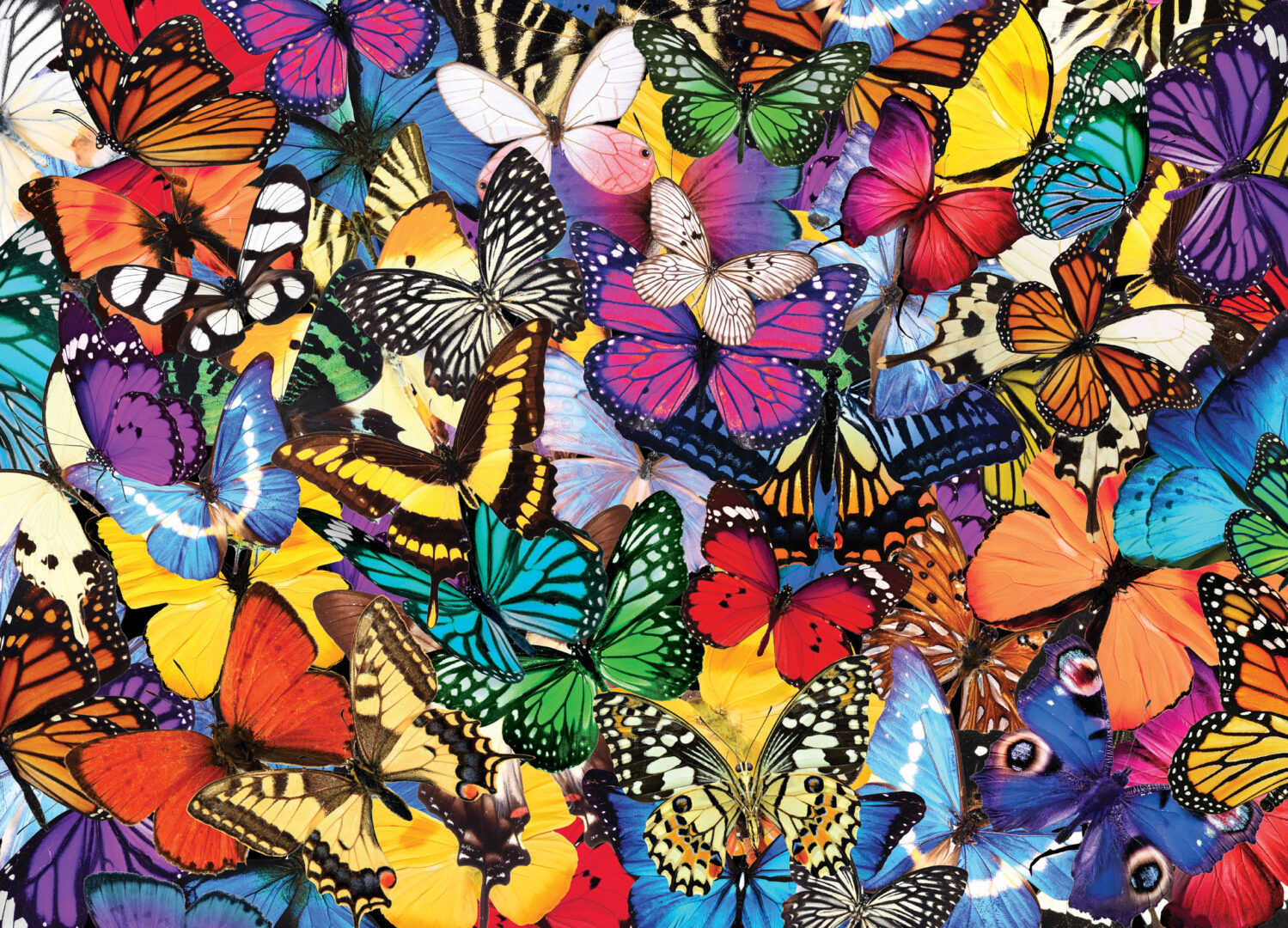Peter Pauper Press - All the Butterflies 500 Piece Puzzle