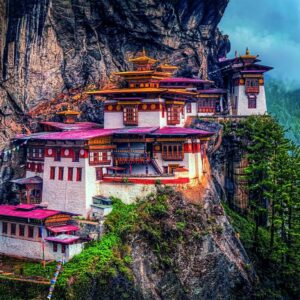 Clementoni - The Tigers Nest 500 Piece Puzzle