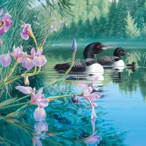 Cobble Hill - Iris Cove Loons 500 Larger Piece Puzzle