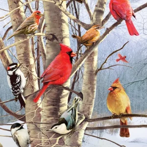 Cobble Hill - Winter Birds 1000 Piece Puzzle