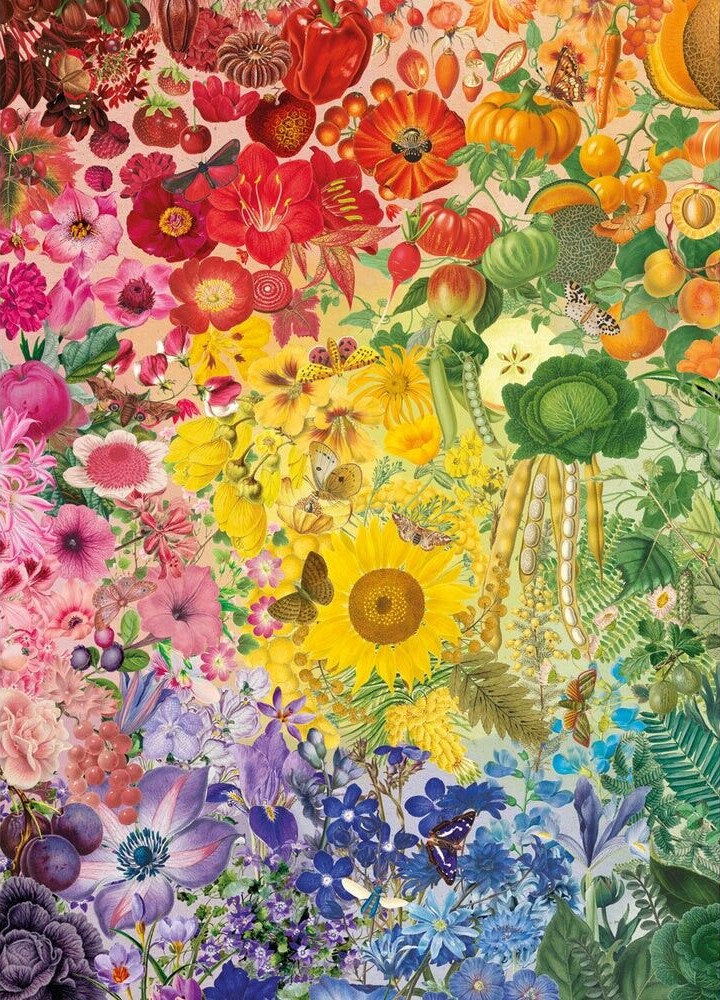 Gibsons - RHS: Colours of Nature 1000 Piece Puzzle