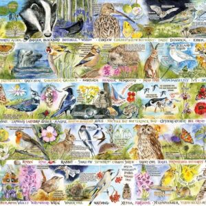 Gibsons - RSPB: Birdsong & Bluebell 1000 Piece Puzzle