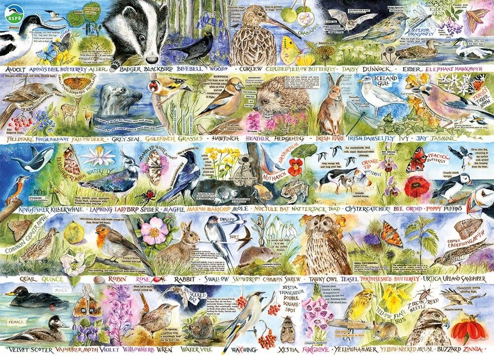 Gibsons - RSPB: Birdsong & Bluebell 1000 Piece Puzzle