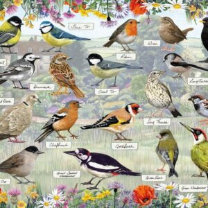 Gibsons - Blissful Birds 1000 Piece Puzzle