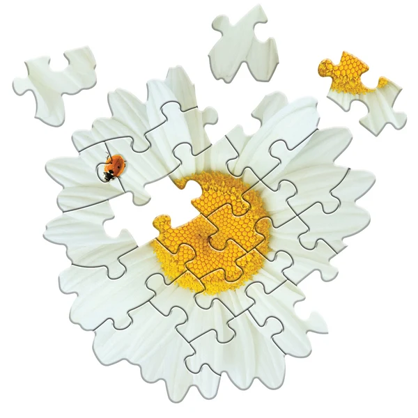 Madd Capp - Jigsaw Puzzle Greeting Card - Daisy 20 Piece & Envelope - Image 6