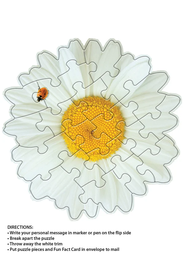 Madd Capp - Jigsaw Puzzle Greeting Card - Daisy 20 Piece & Envelope - Image 5