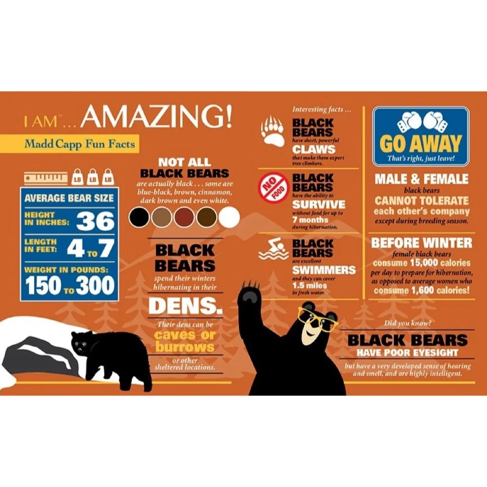 Madd Capp - I am Bear 300 Piece Shaped Puzzle - Image 4