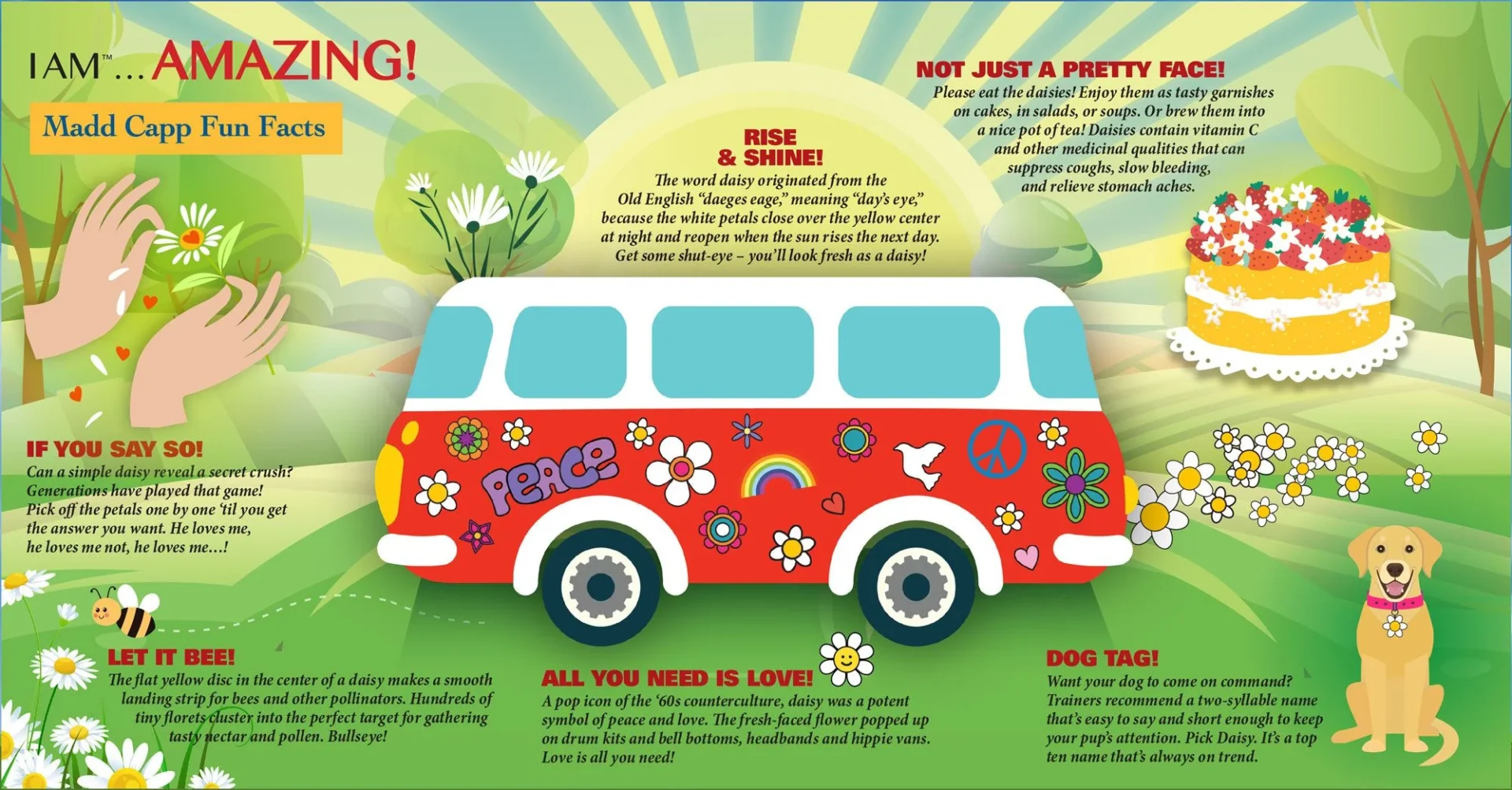 Madd Capp - I am Daisy 300 Piece Shaped Puzzle - Image 2