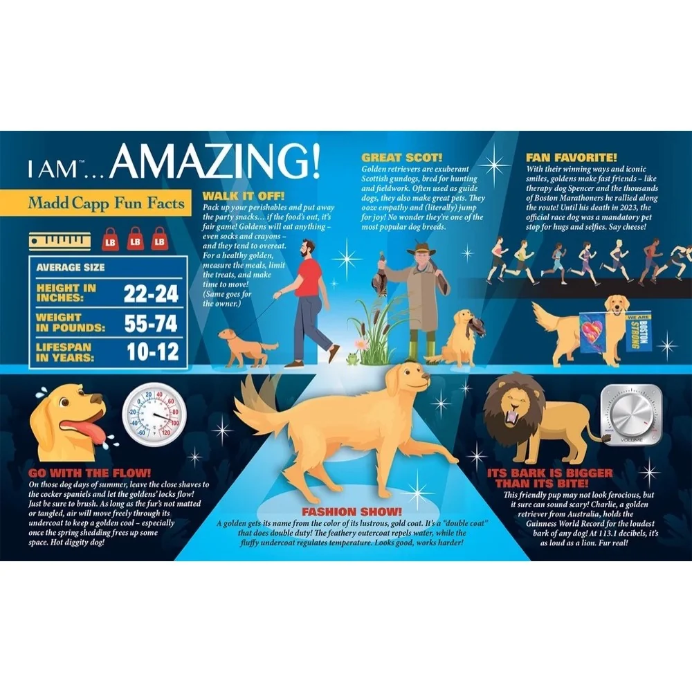 Madd Capp - I am Golden 550 Piece Shaped Puzzle - Image 4