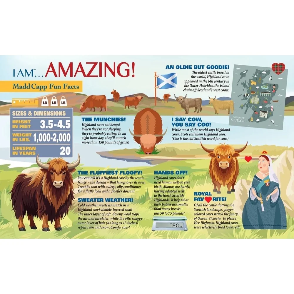 Madd Capp - I am Highland Cow 550 Piece Shaped Puzzle - Image 4