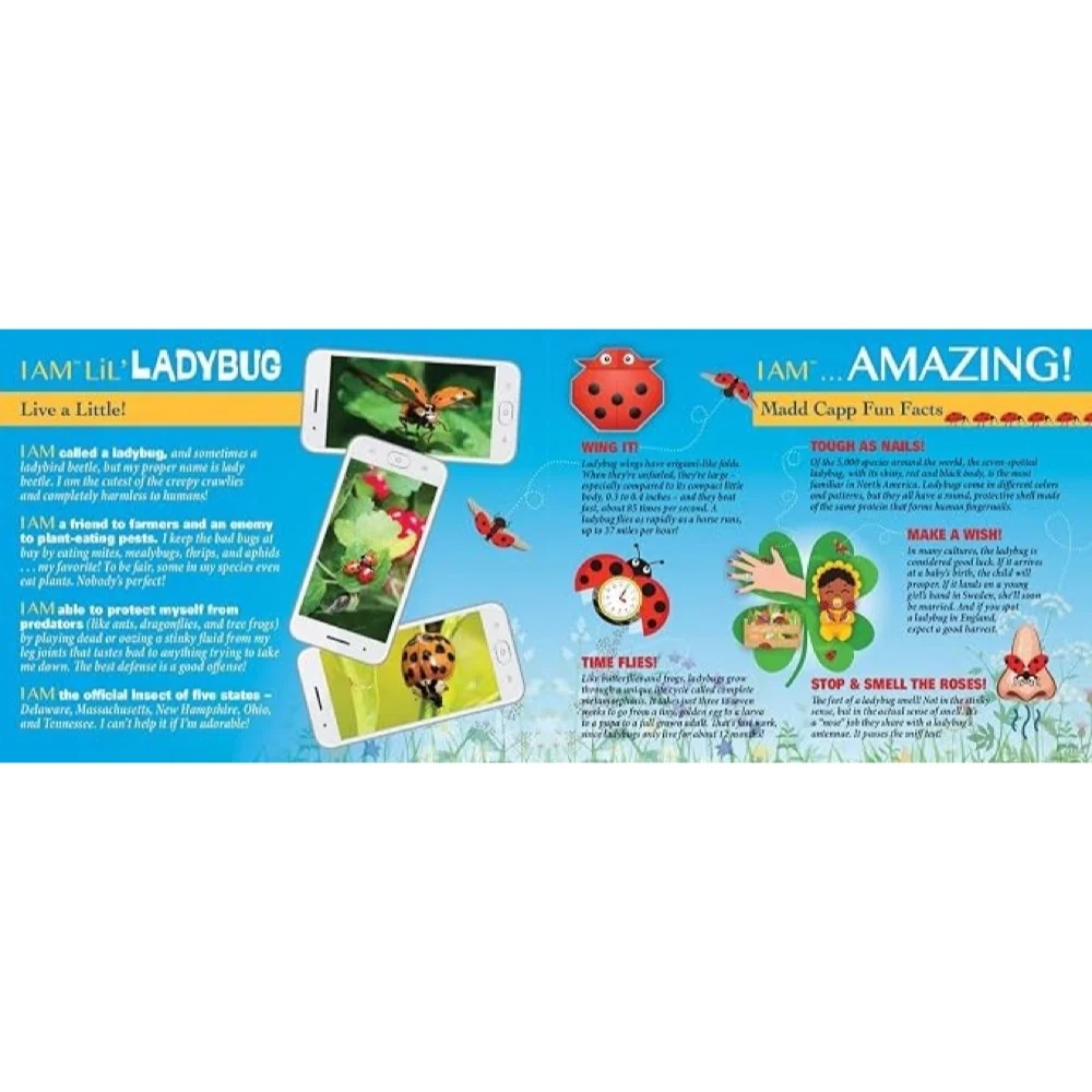 Madd Capp - I am Lil' Ladybug 100 Piece Shaped Puzzle - Image 4
