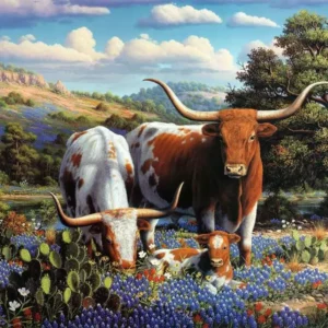 Ravensburger - Loving Longhorns 500 Piece Puzzle