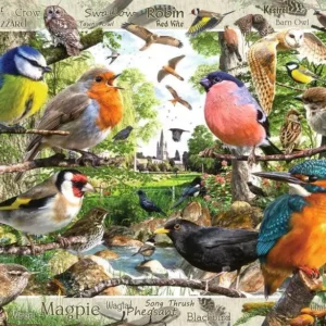 Ravensburger - Our Feathered Friends 1000 Piece Puzzle
