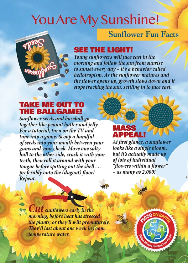 Madd Capp - Jigsaw Puzzle Greeting Card - Sunflower 20 Piece & Envelope - Image 4