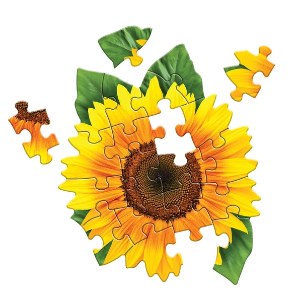 Madd Capp - Jigsaw Puzzle Greeting Card - Sunflower 20 Piece & Envelope - Image 5